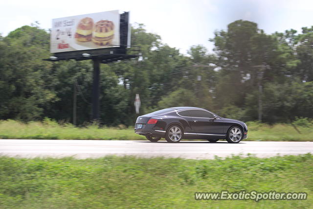 Bentley Continental spotted in Brandon, Florida
