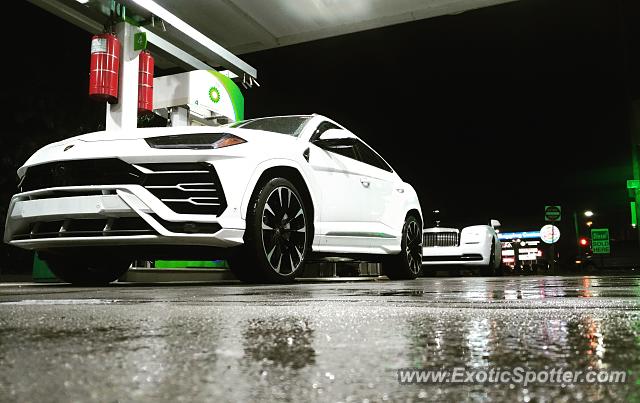Lamborghini Urus spotted in Hewlett, New York