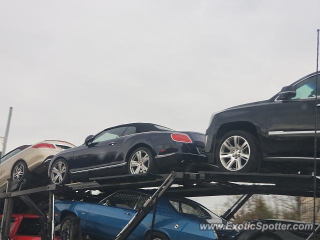 Bentley Continental spotted in Florence, Kentucky
