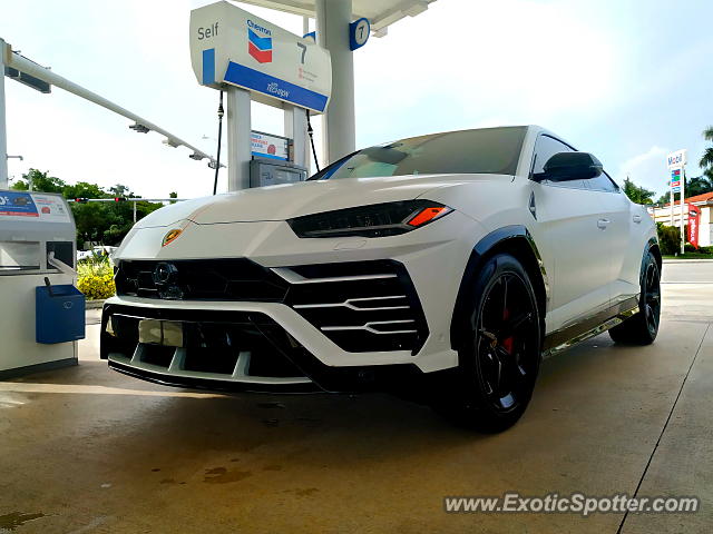 Lamborghini Urus spotted in Miami, Florida