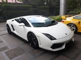 Lamborghini Gallardo
