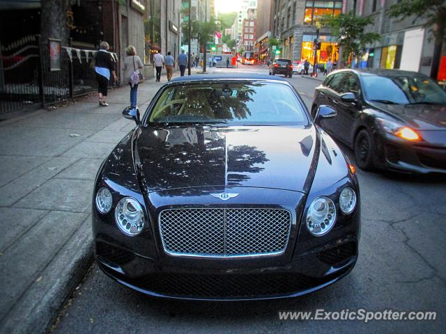 Bentley Continental spotted in Miami, Florida