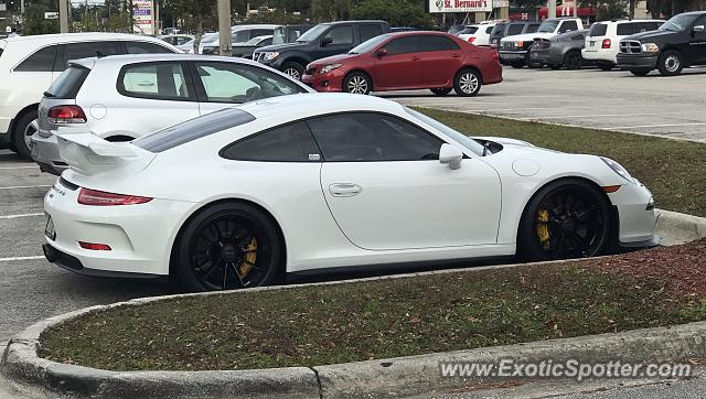 Porsche 911 spotted in Fruit cove, Florida
