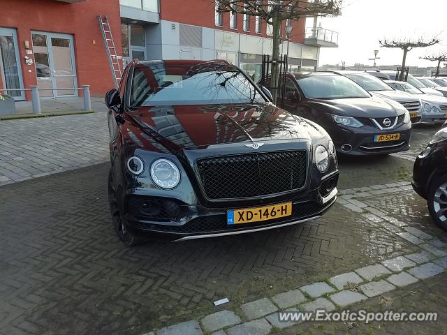 Bentley Bentayga spotted in Papendrecht, Netherlands