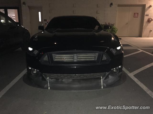 Saleen S281 spotted in Charlotte, North Carolina