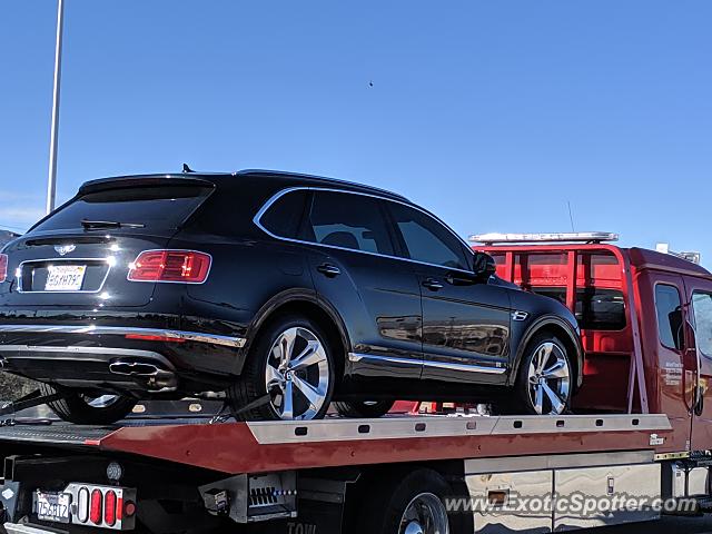 Bentley Bentayga spotted in Henderson, Nevada