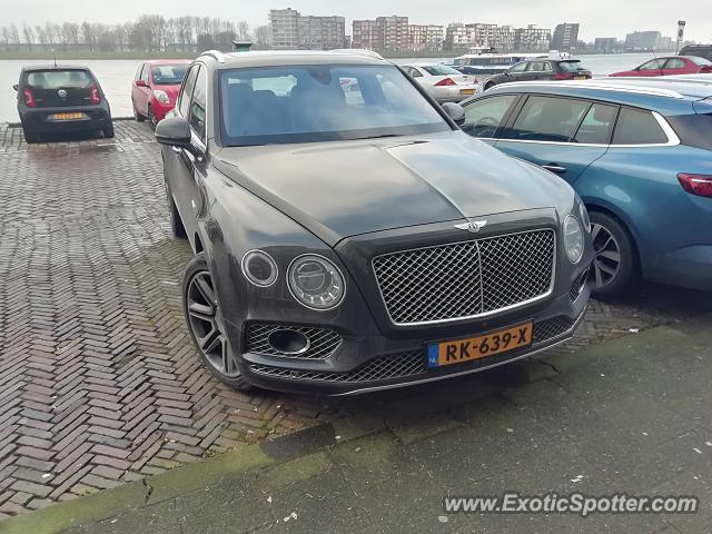 Bentley Bentayga spotted in Dordrecht, Netherlands