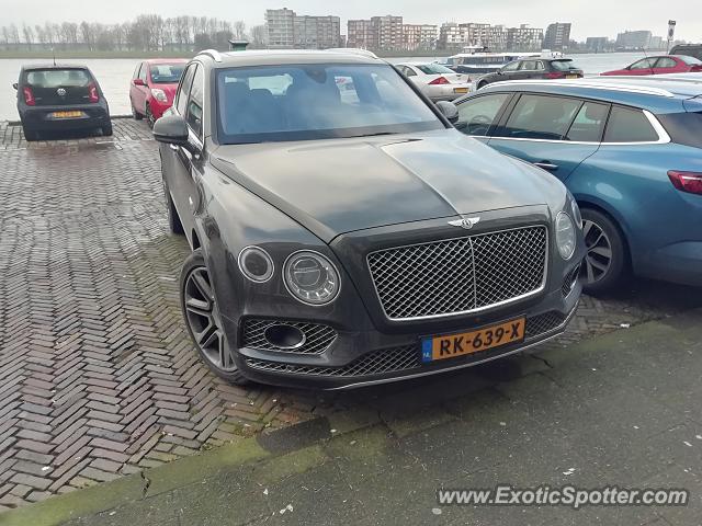 Bentley Bentayga spotted in Dordrecht, Netherlands