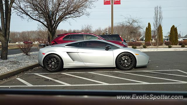 Lamborghini Gallardo spotted in Stevensville, Maryland
