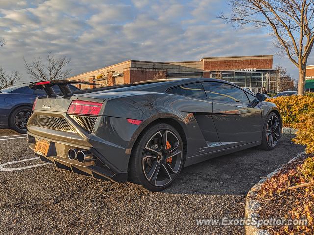 Lamborghini Gallardo spotted in Bridgewater, New Jersey