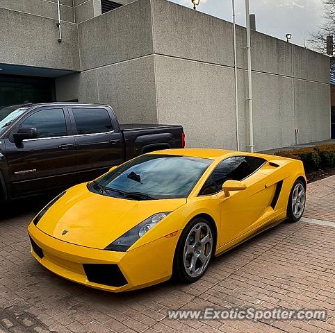 Lamborghini Gallardo spotted in Toledo, Ohio