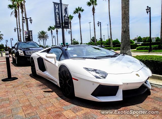 Lamborghini Aventador spotted in Jacksonville, Florida