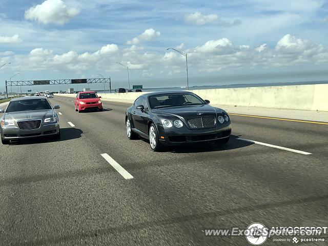 Bentley Continental spotted in Tampa, Florida