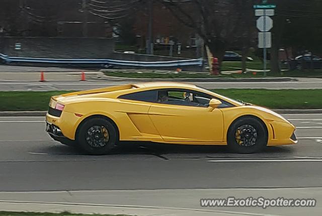 Lamborghini Gallardo spotted in Royal Oaks, Michigan