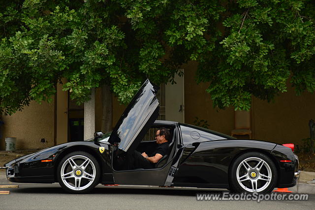 Ferrari Enzo spotted in Los Angeles, California