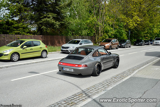Porsche 911 spotted in Lobau, Germany