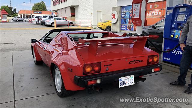 Lamborghini Jalpa spotted in Los Angeles, California