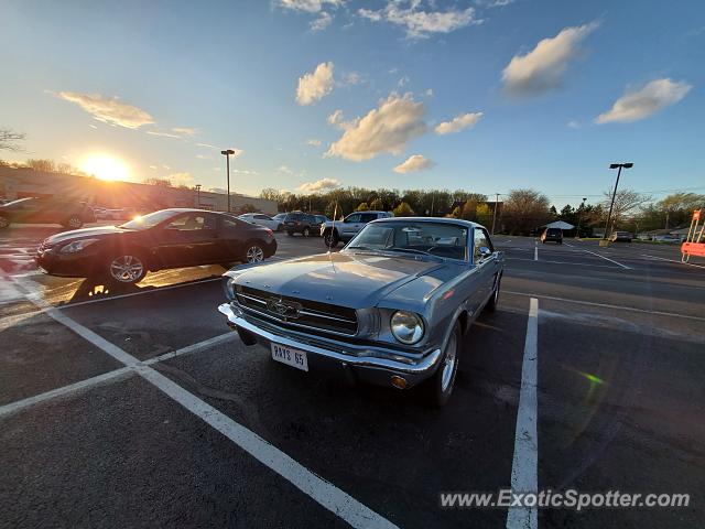 Other Vintage spotted in Cleveland, Ohio