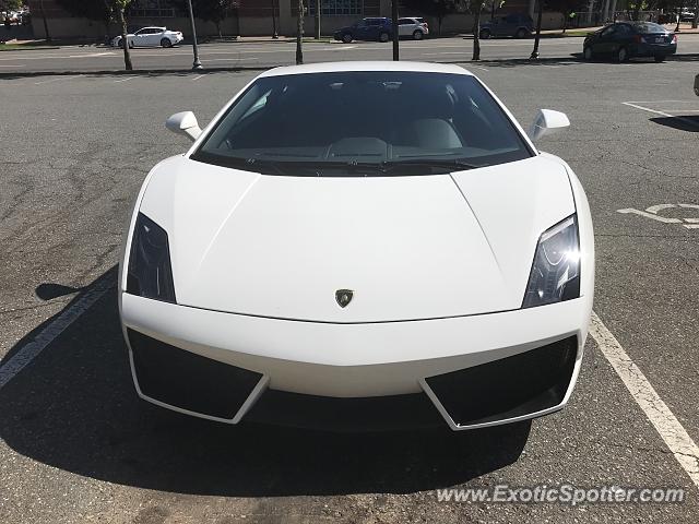 Lamborghini Gallardo spotted in Charlotte, North Carolina