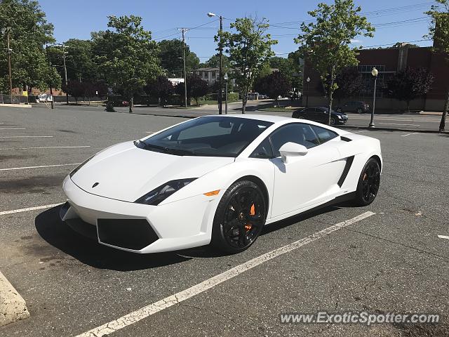 Lamborghini Gallardo spotted in Charlotte, North Carolina