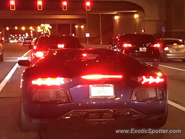 Lamborghini Aventador spotted in Tampa, Florida