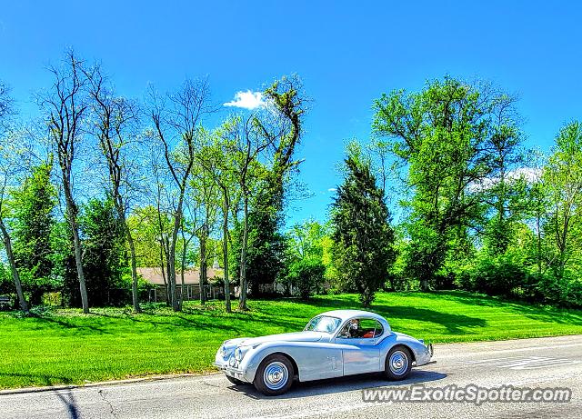 Other Vintage spotted in Kenwood, Ohio