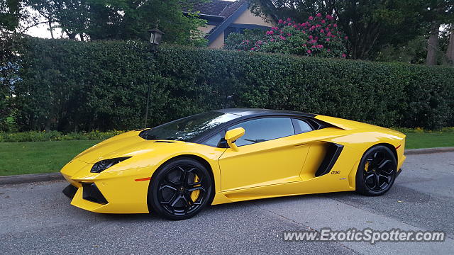Lamborghini Aventador spotted in Vancouver, Canada
