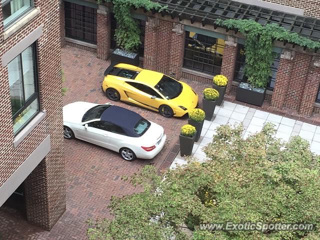 Lamborghini Gallardo spotted in Washington DC, United States