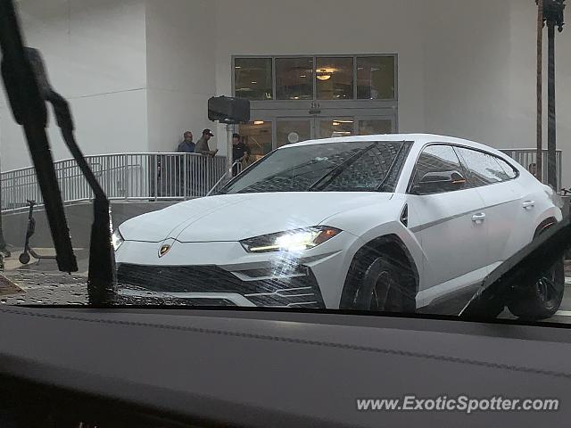 Lamborghini Urus spotted in Miami, Florida