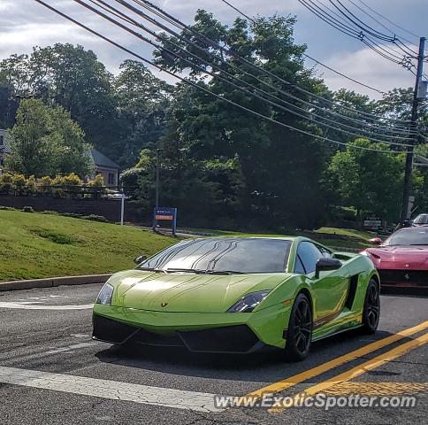 Lamborghini Gallardo spotted in Martinsville, New Jersey