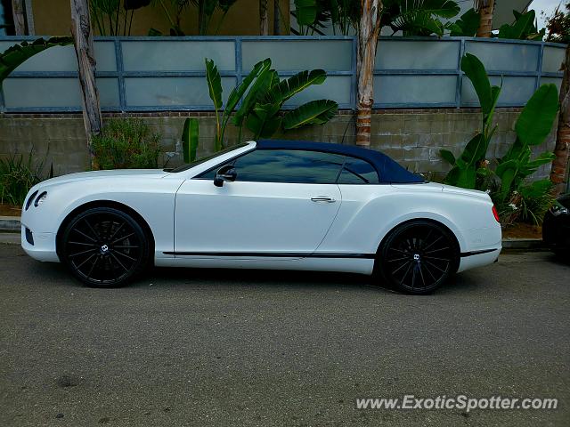 Bentley Continental spotted in Hollywood, California