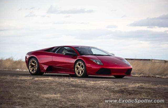 Lamborghini Murcielago spotted in Lakewood, Colorado
