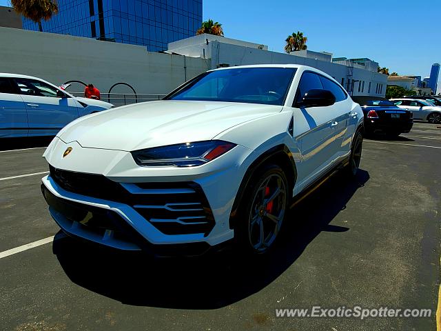 Lamborghini Urus spotted in Beverly Hills, California