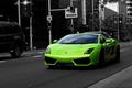 Lamborghini Gallardo