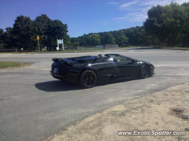 Lamborghini Murcielago spotted in Truro, Massachusetts