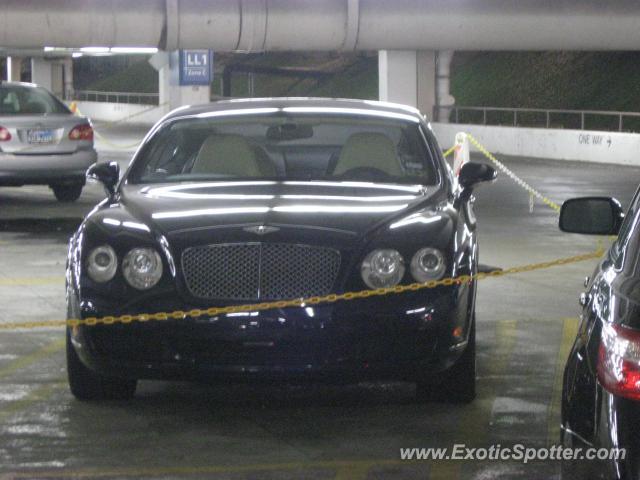 Bentley Continental spotted in Houston, Texas