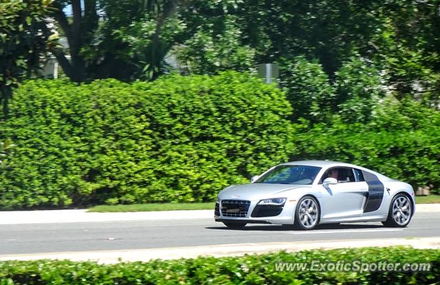 Audi R8 spotted in Jacksonville, Florida