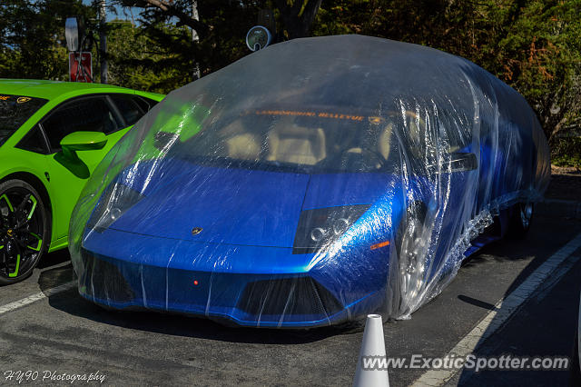 Lamborghini Murcielago spotted in Carmel, California