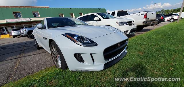Jaguar F-Type spotted in Cleveland, Ohio