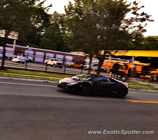 Lamborghini Huracan spotted in Scotch Plains, New Jersey