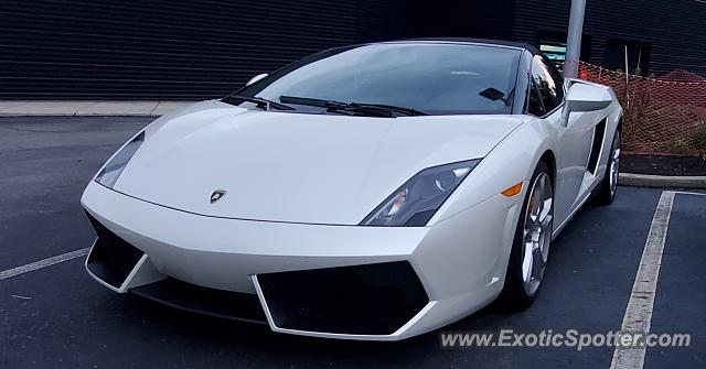 Lamborghini Gallardo spotted in Cleveland, Ohio