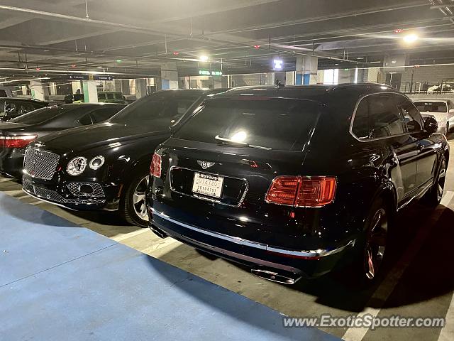 Bentley Bentayga spotted in Atlanta, Georgia