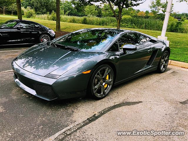Lamborghini Gallardo spotted in Sterling, Virginia
