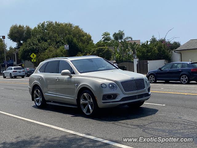 Bentley Bentayga spotted in Laguna Beach, California