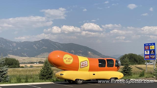 Other Other spotted in Bozeman, Montana