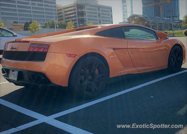 Lamborghini Gallardo spotted in Sterling, Virginia