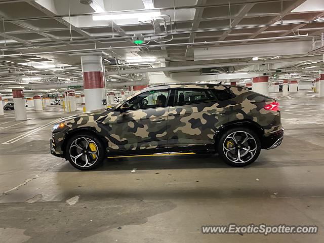 Lamborghini Urus spotted in Century City, California