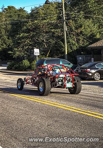 Other Other spotted in Chimney Rock, North Carolina