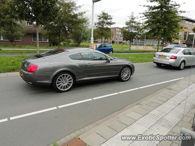 Bentley Continental spotted in Papendrecht, Netherlands