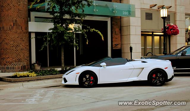 Lamborghini Gallardo spotted in Bloomfield Hills, Michigan